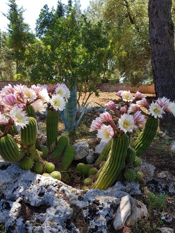 Trulli Di Spinaruta Panzió Grottaglie Kültér fotó
