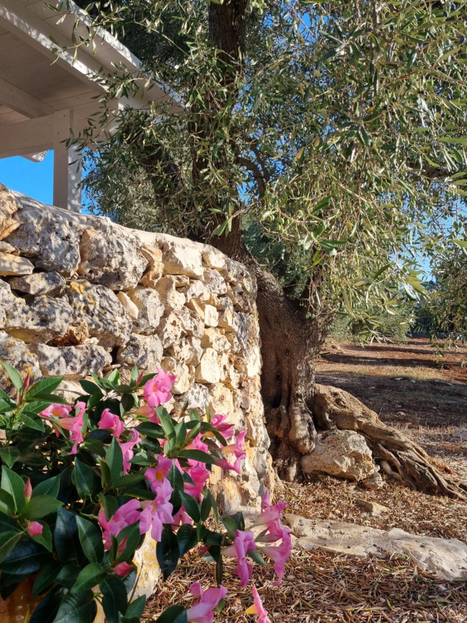 Trulli Di Spinaruta Panzió Grottaglie Kültér fotó