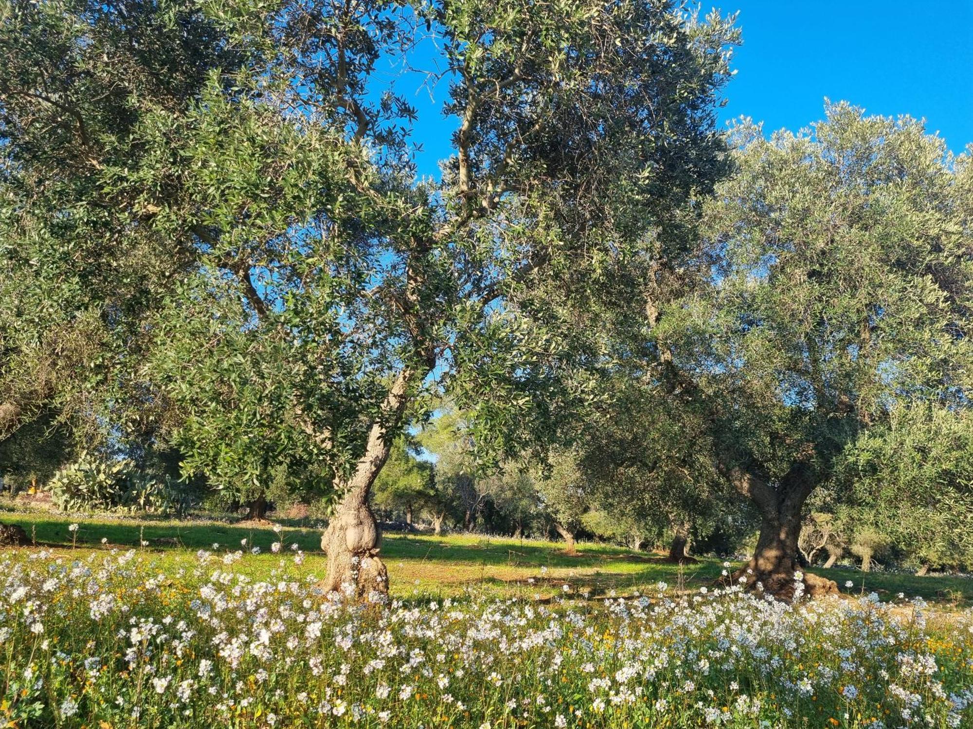 Trulli Di Spinaruta Panzió Grottaglie Kültér fotó